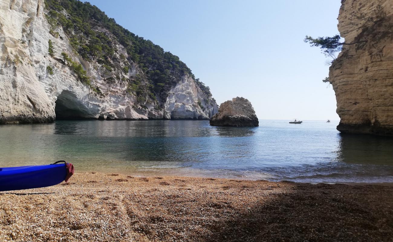 Photo de Spiaggia di Baia del Leone avec petits galets beige de surface