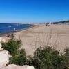 Spiaggia Isola Albarella