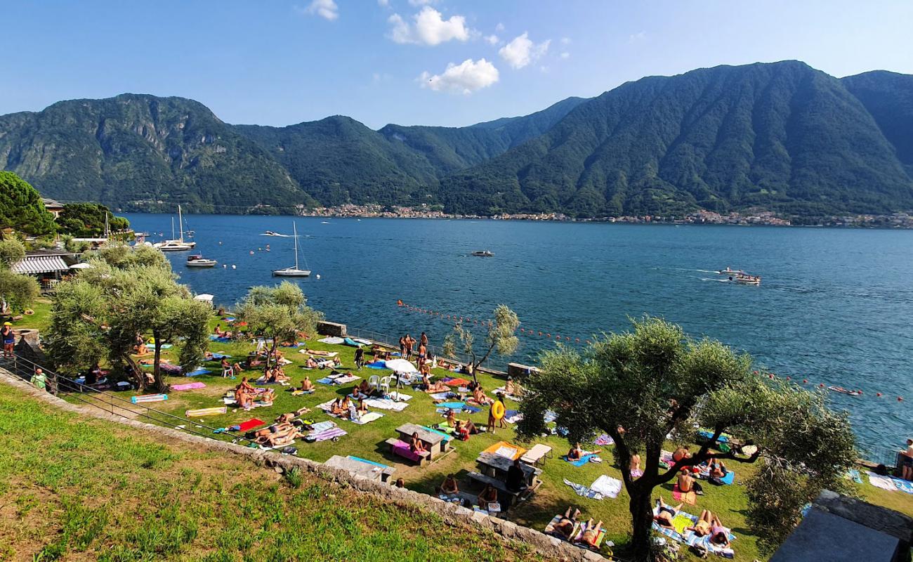 Photo de Lido de Ospedaletto avec herbe de surface