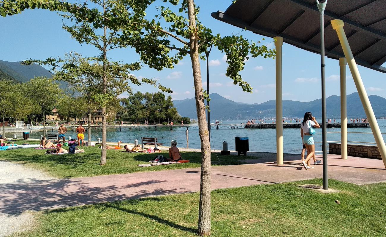 Photo de Lido Nettuno avec herbe de surface