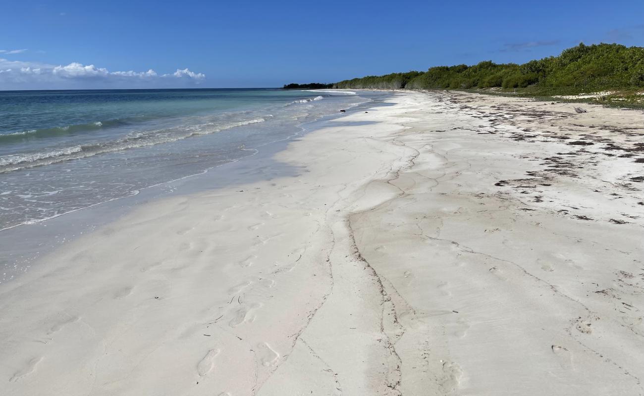 Photo de Jackson Bay Beach avec sable beige fin de surface