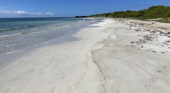 Jackson Bay Beach