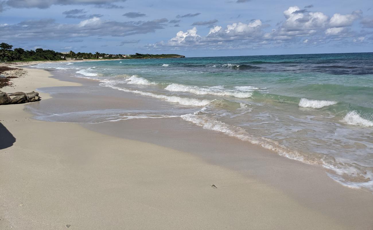 Photo de Long Bay Beach avec sable fin et lumineux de surface