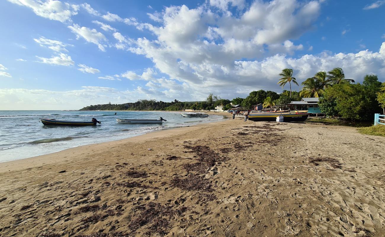 Photo de Frenchman Beach avec sable beige fin de surface