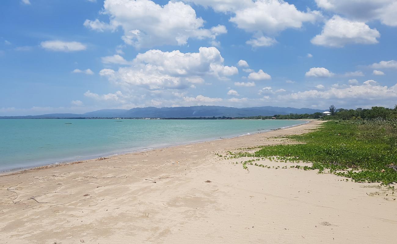 Photo de Parotee Free Beach avec sable beige fin de surface