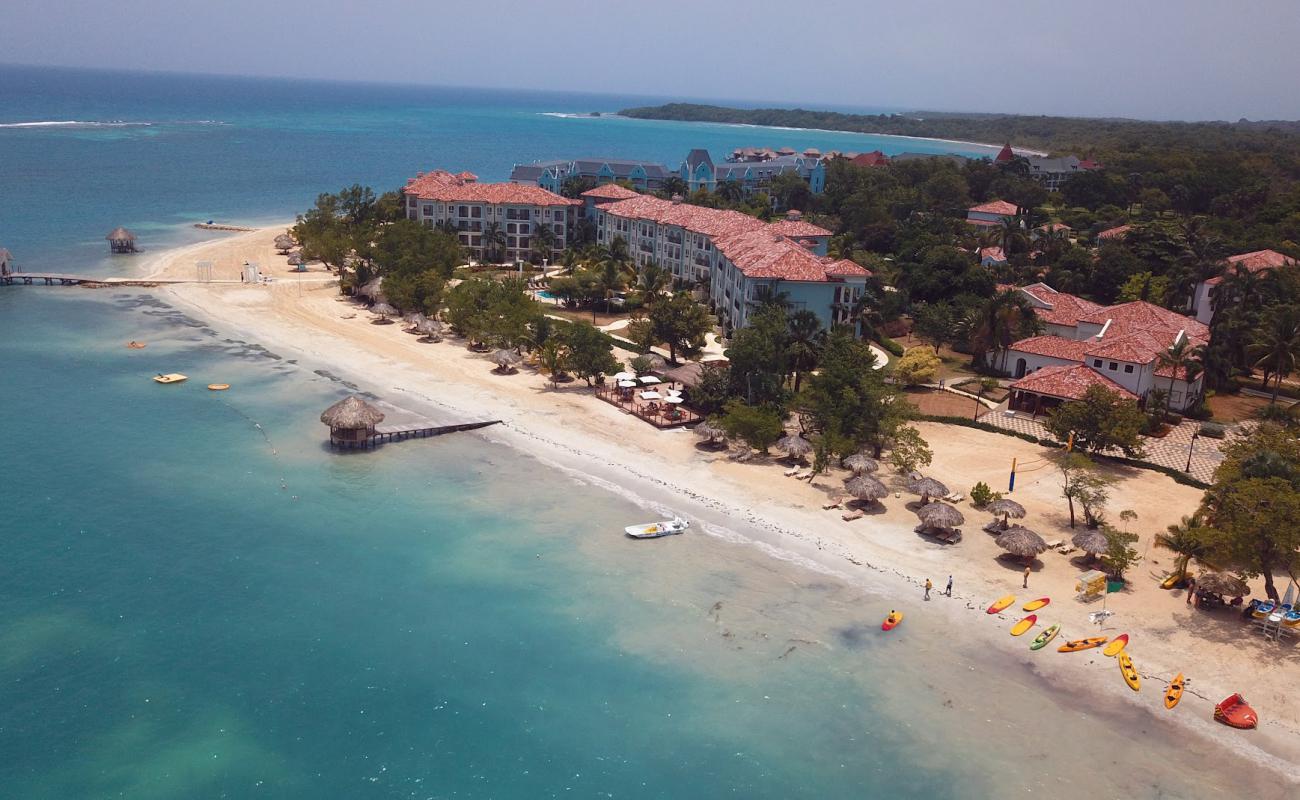 Photo de Plage de Sandals avec sable fin et lumineux de surface