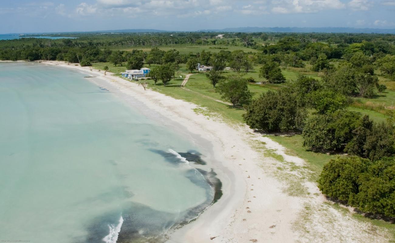 Photo de Westmoreland Parish Beach avec sable beige de surface