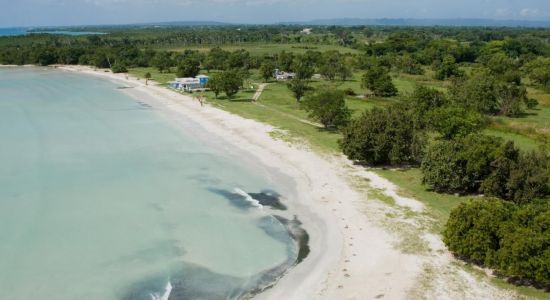 Westmoreland Parish Beach
