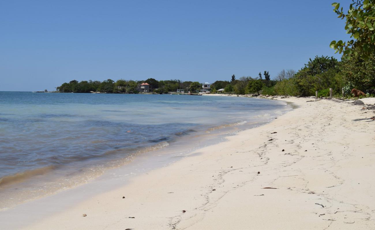 Photo de Little Bay avec sable beige de surface