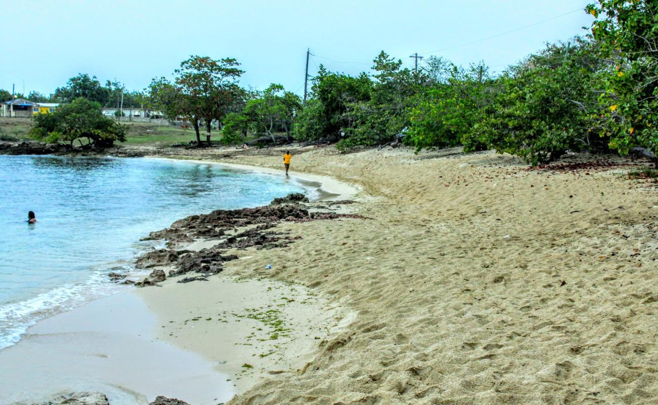 Photo de Bull's Bay Beach avec sable beige de surface