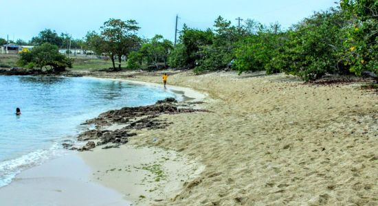 Bull's Bay Beach