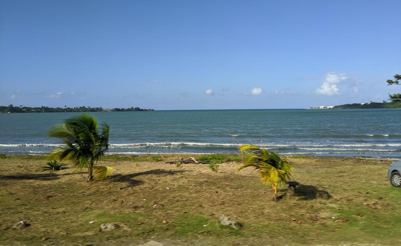 Photo de Lucea Beach avec sable gris de surface