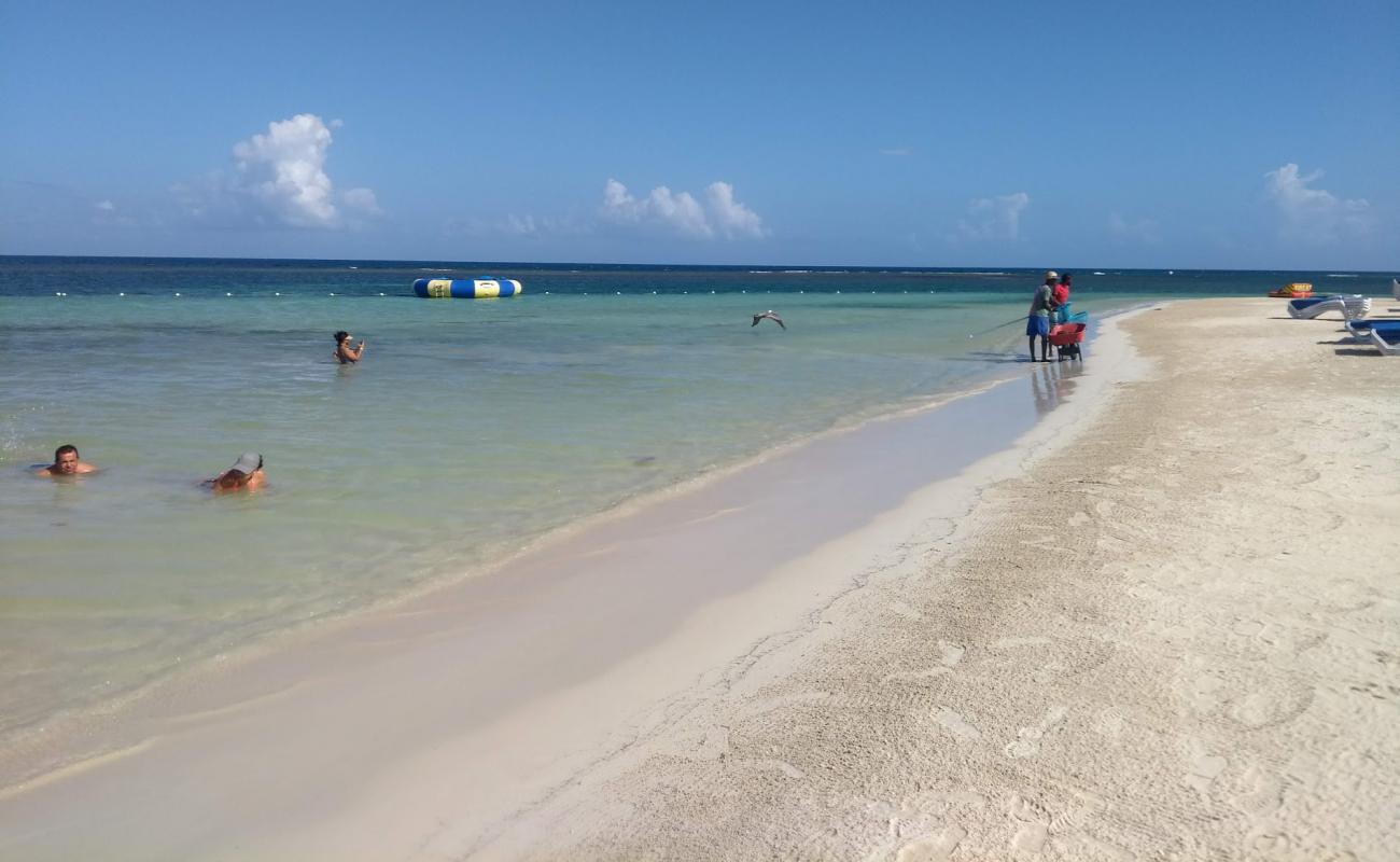 Photo de Tropical Bliss avec sable beige fin de surface