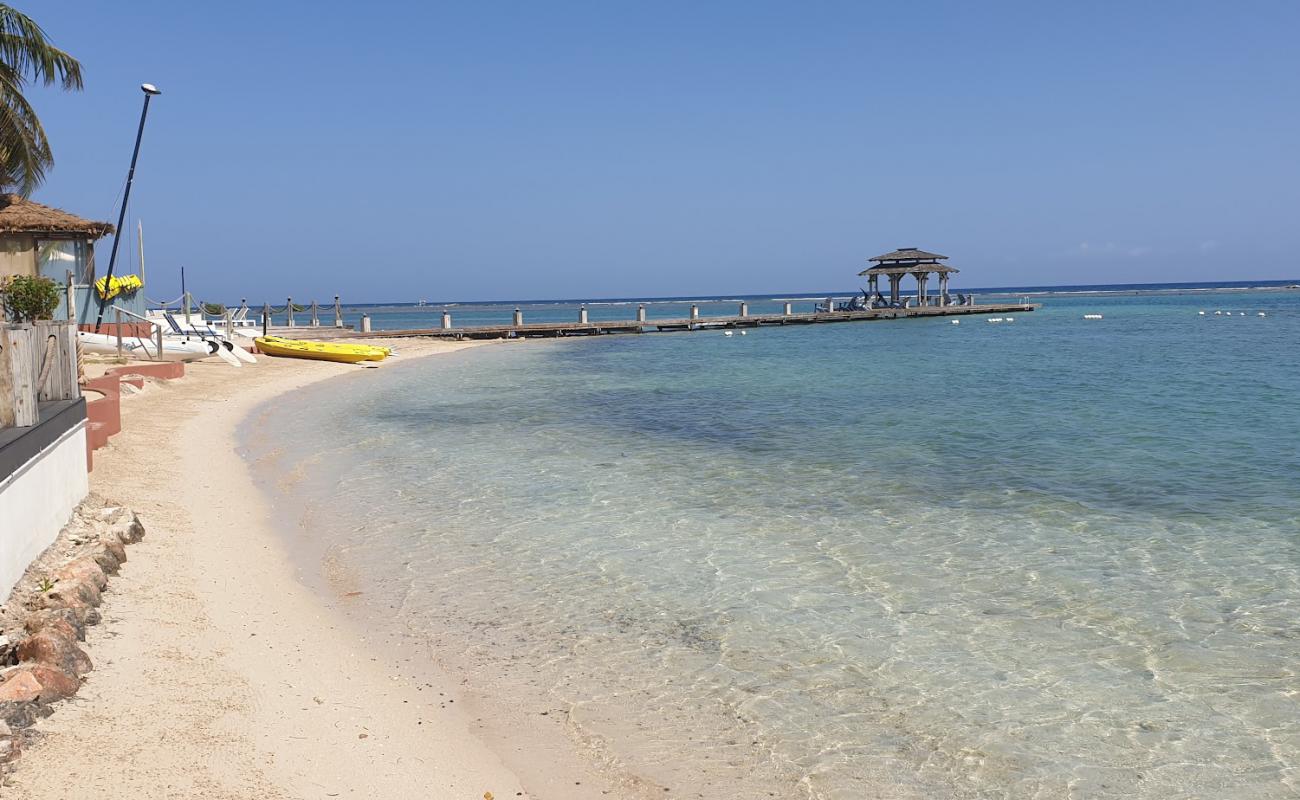 Photo de Zoetry Montego Bay avec sable fin et lumineux de surface