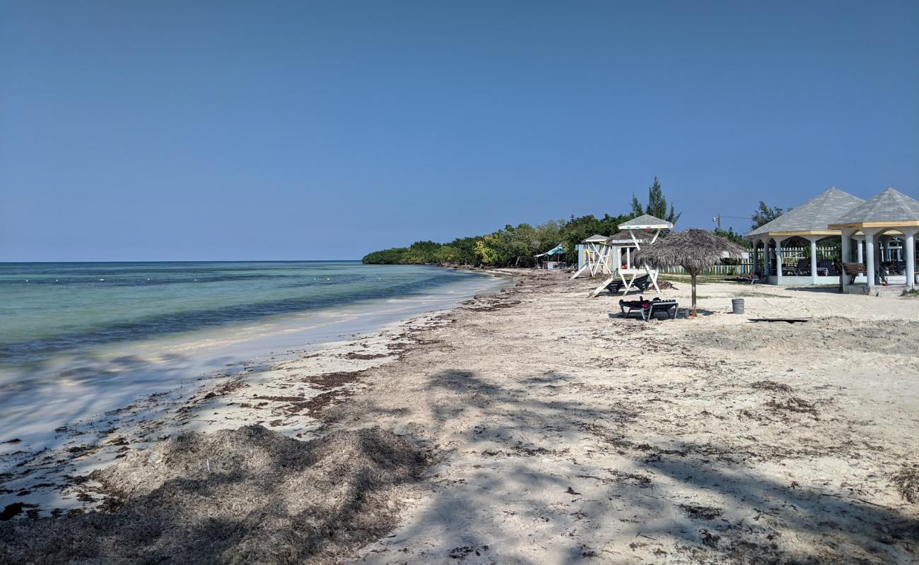 Photo de Burwood beach avec sable lumineux de surface