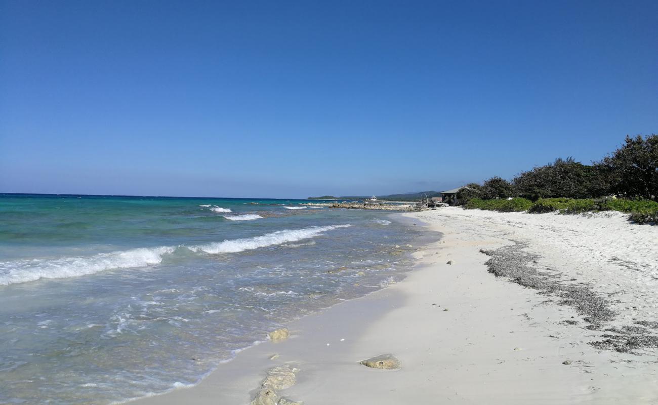 Photo de Silver Sands beach avec sable beige de surface