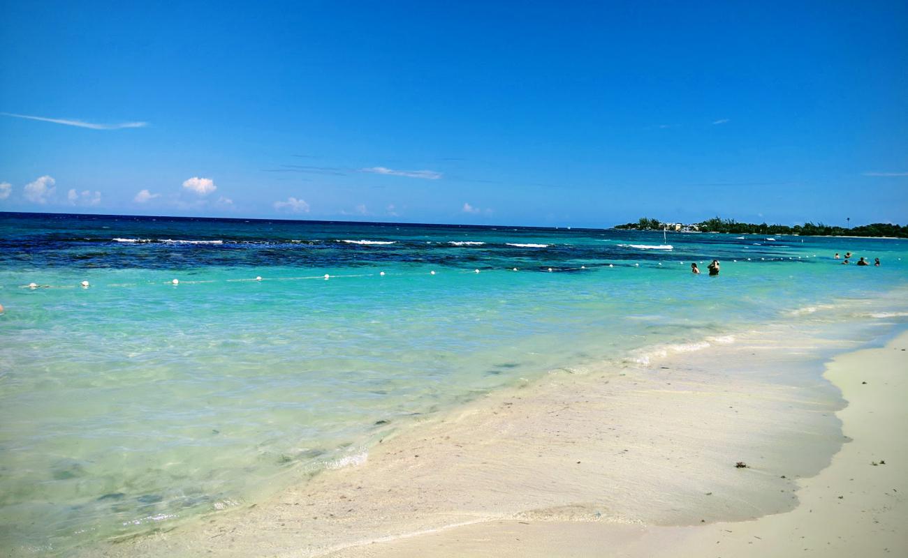 Photo de Plage de Cardiff Hall avec sable beige fin de surface