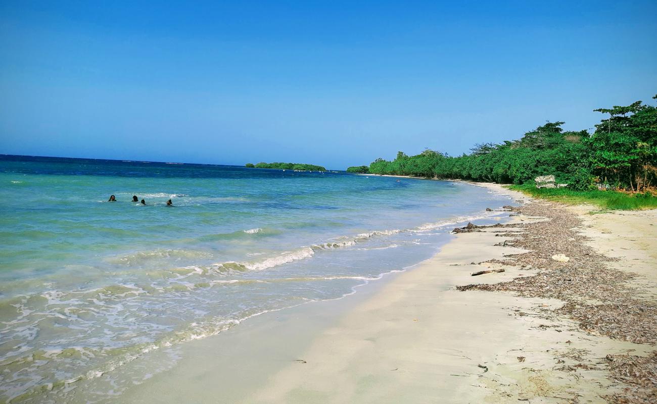 Photo de Fantasy Beach avec sable beige de surface