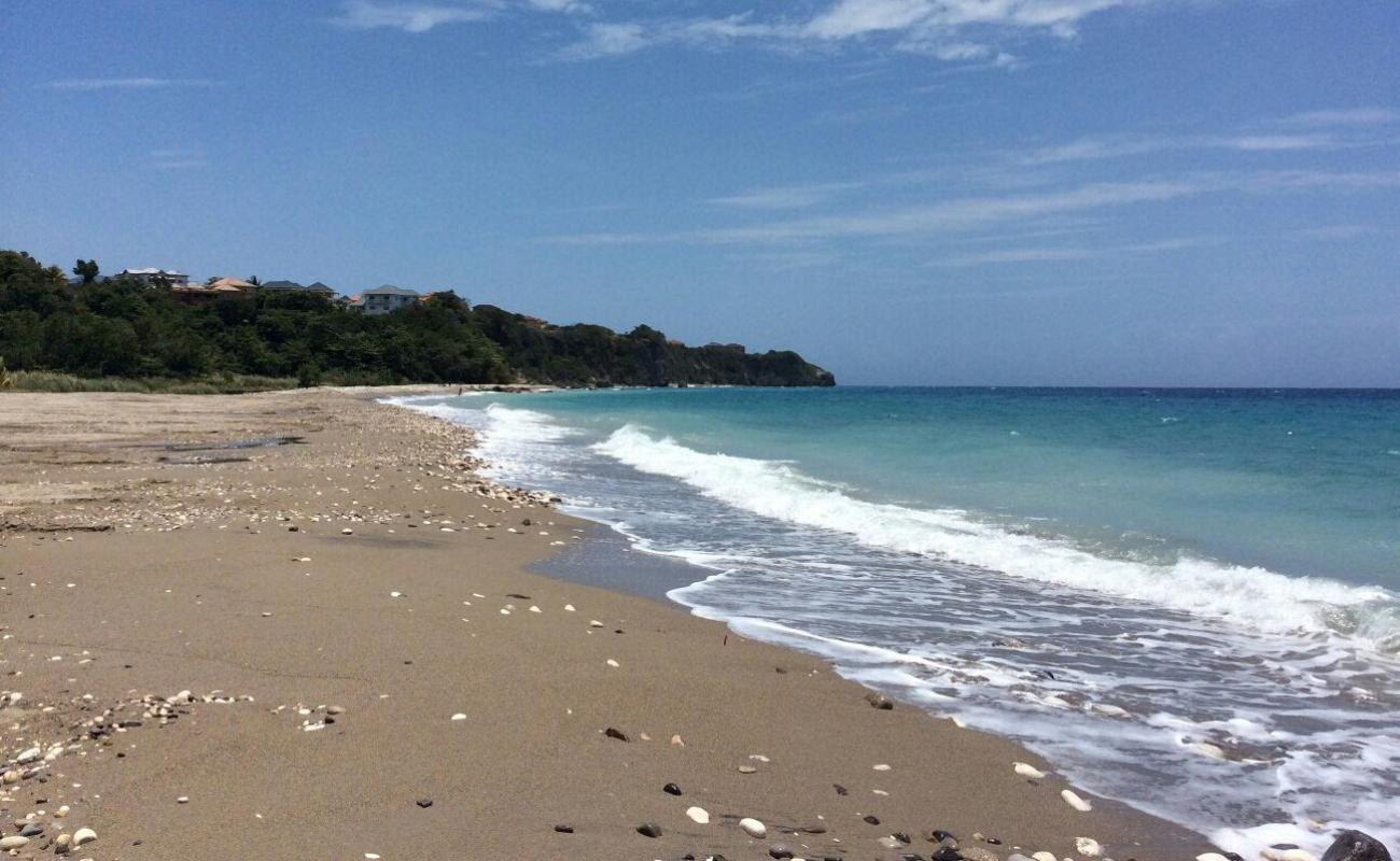 Photo de Rio Nuevo Bay avec sable beige de surface
