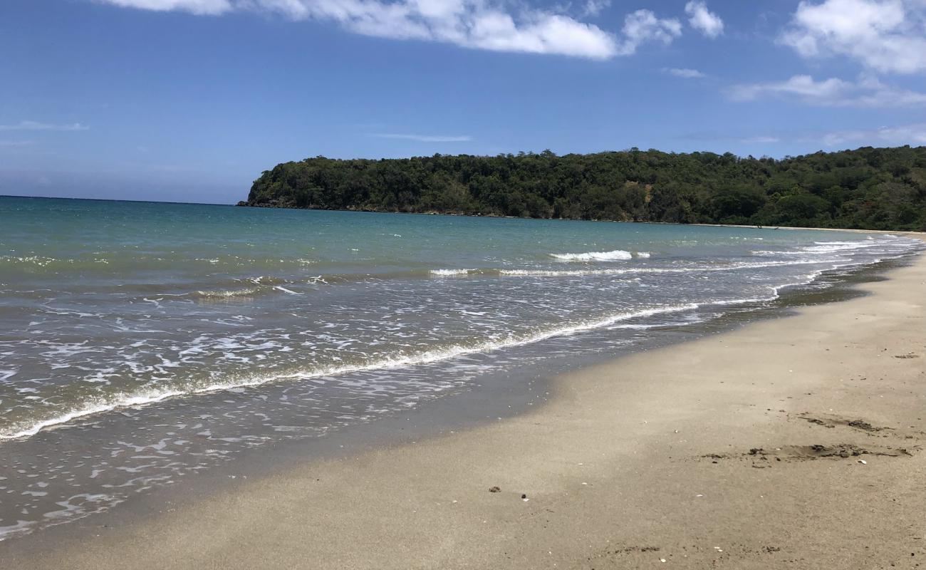 Photo de Pagee beach avec sable beige fin de surface