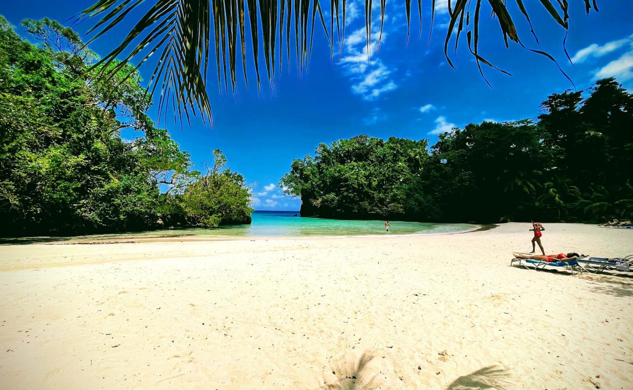 Photo de Plage de Frenchman's Cove avec sable fin et lumineux de surface