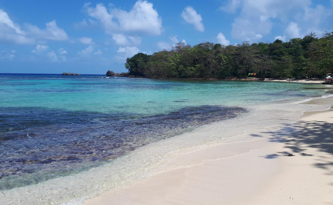 Photo de Winnifred beach avec sable fin et lumineux de surface