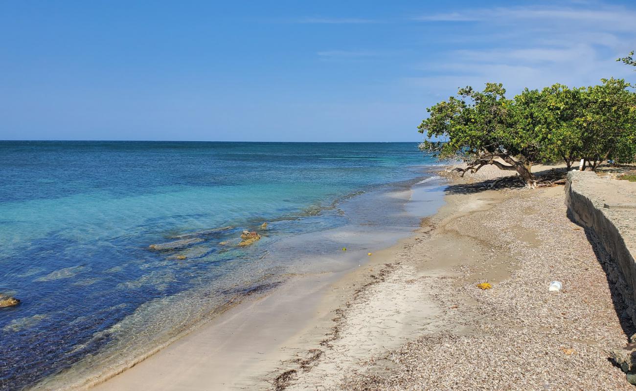 Photo de Saunders beach avec sable beige de surface