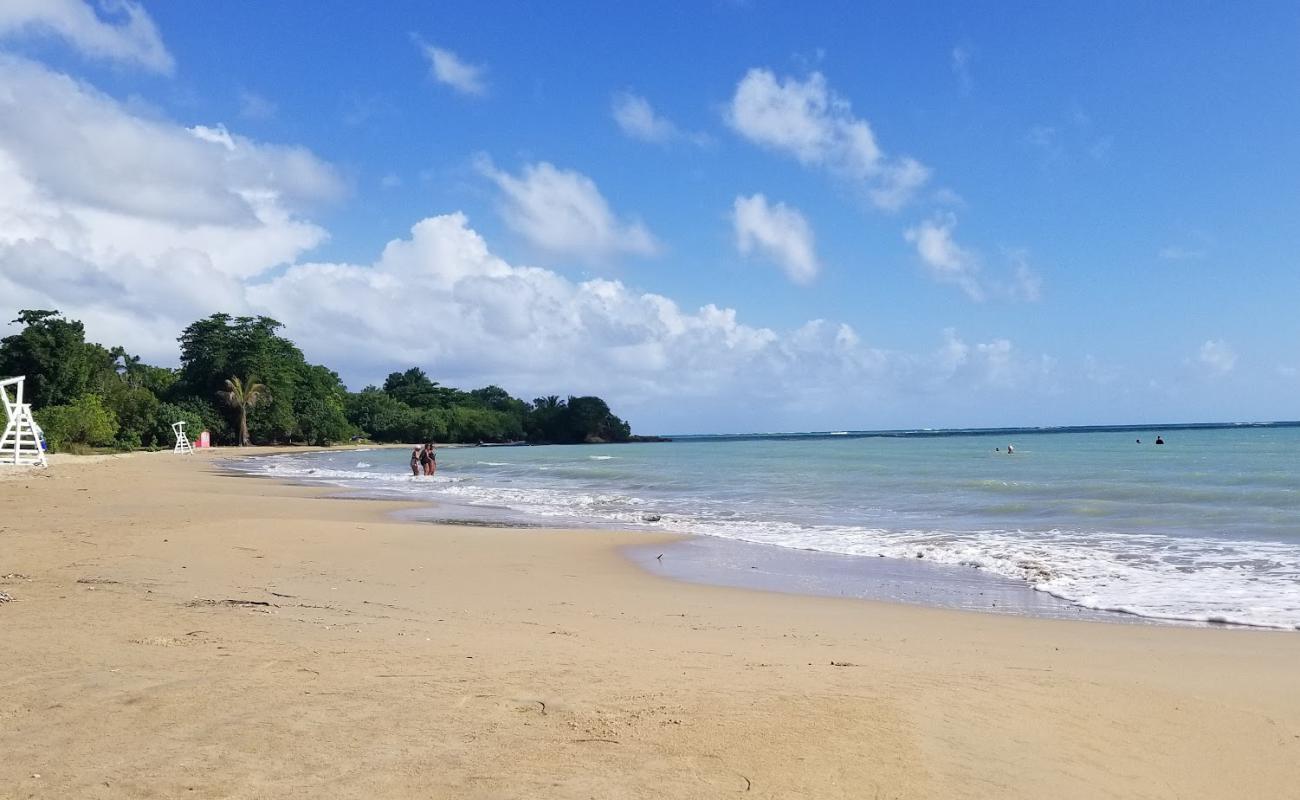 Photo de Lyssons beach avec sable beige de surface