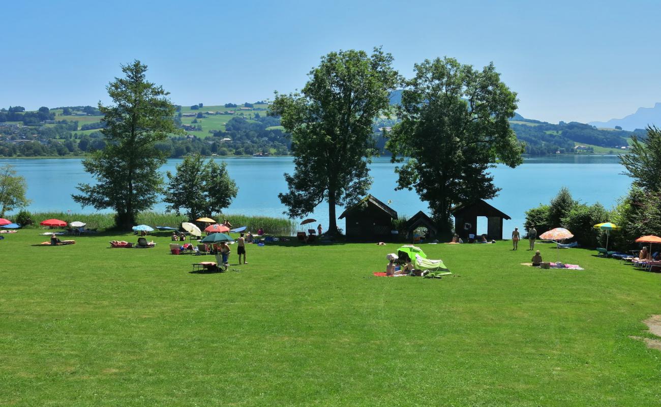 Photo de Badeplatz Bliem avec herbe de surface