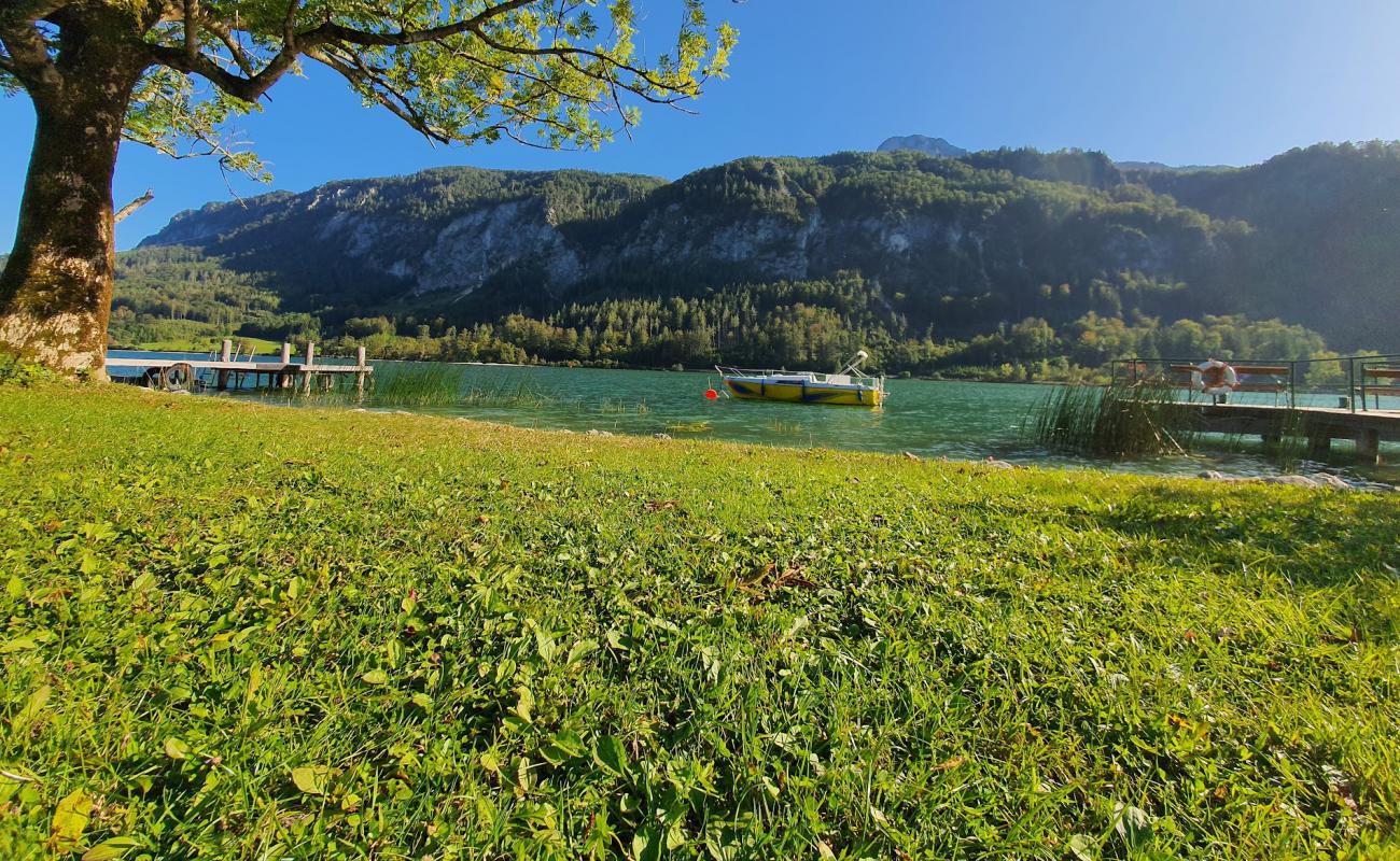 Photo de Strandbad Mondsee avec herbe de surface