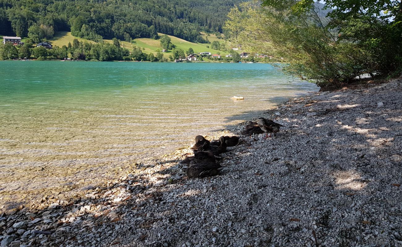 Photo de Freier Seezugang Oberburgau avec galets beige de surface
