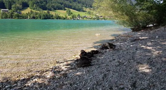 Freier Seezugang Oberburgau