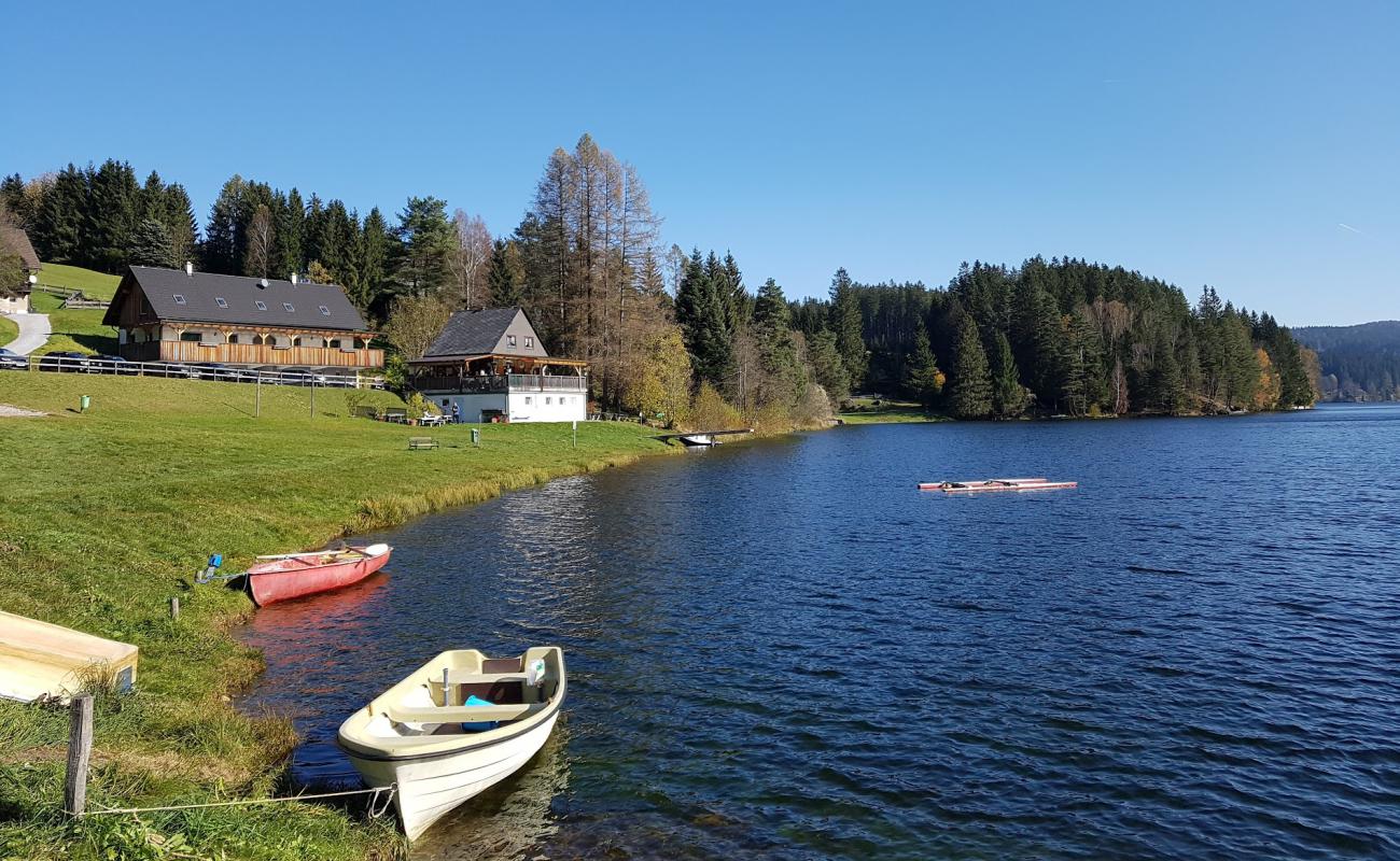 Photo de Seebad Packer Stausee avec herbe de surface