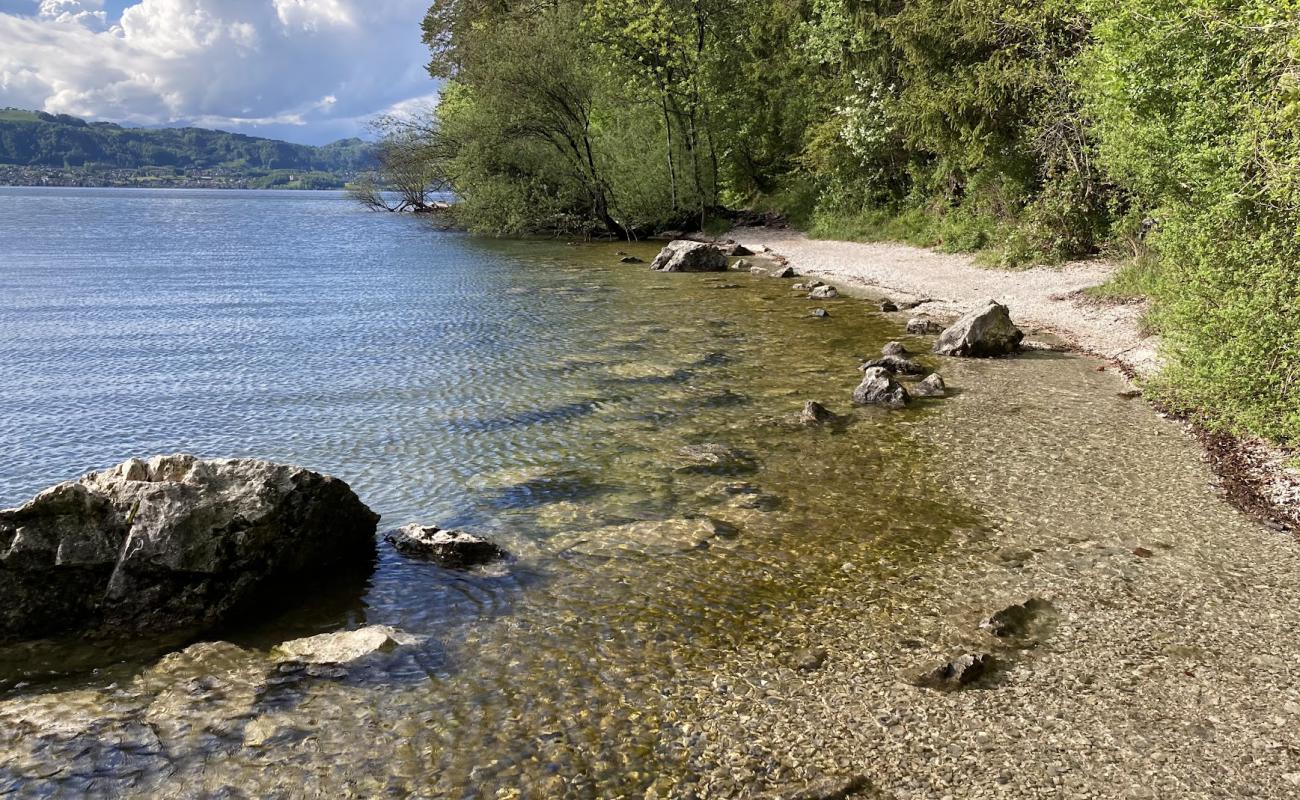 Photo de Strand Miesweg avec caillou fin gris de surface