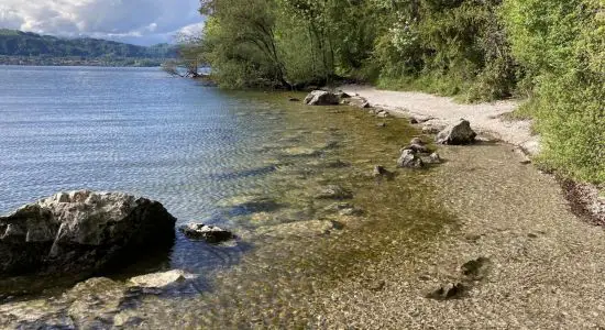 Strand Miesweg