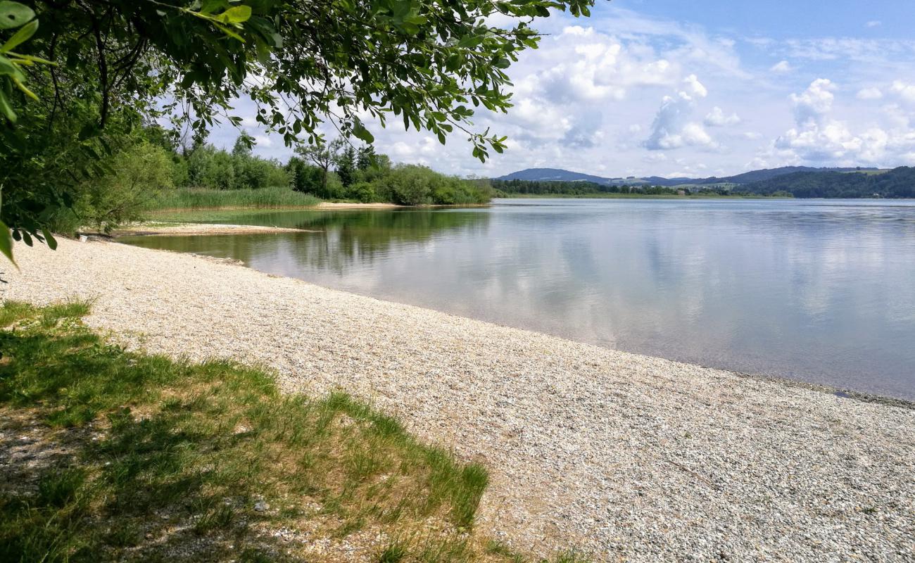 Photo de Naturstrandbad Zell am Wallersee avec herbe de surface