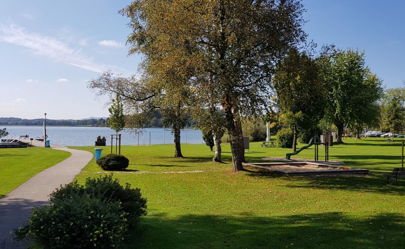 Photo de Wallersee Strand avec herbe de surface