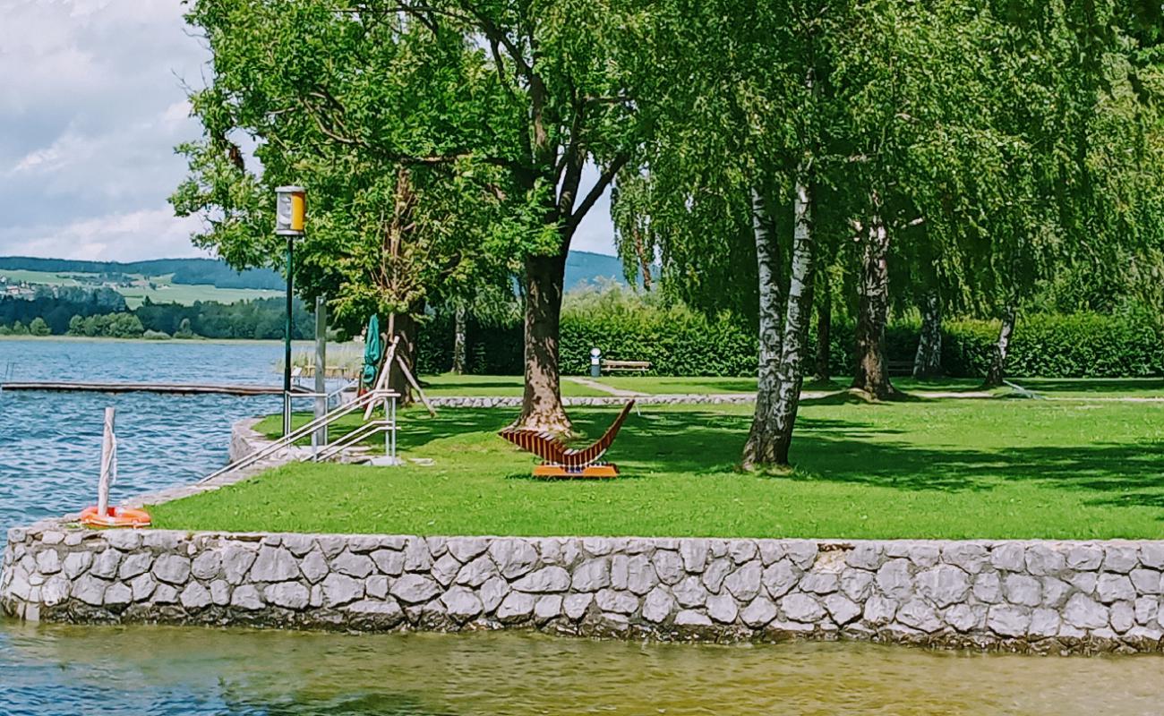 Photo de Strandbad Henndorf avec herbe de surface