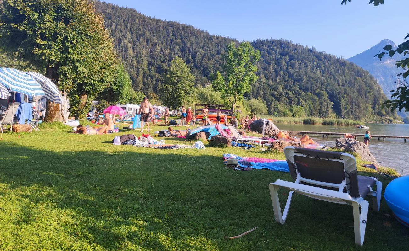 Photo de Strand am Wolfgangsee avec herbe de surface