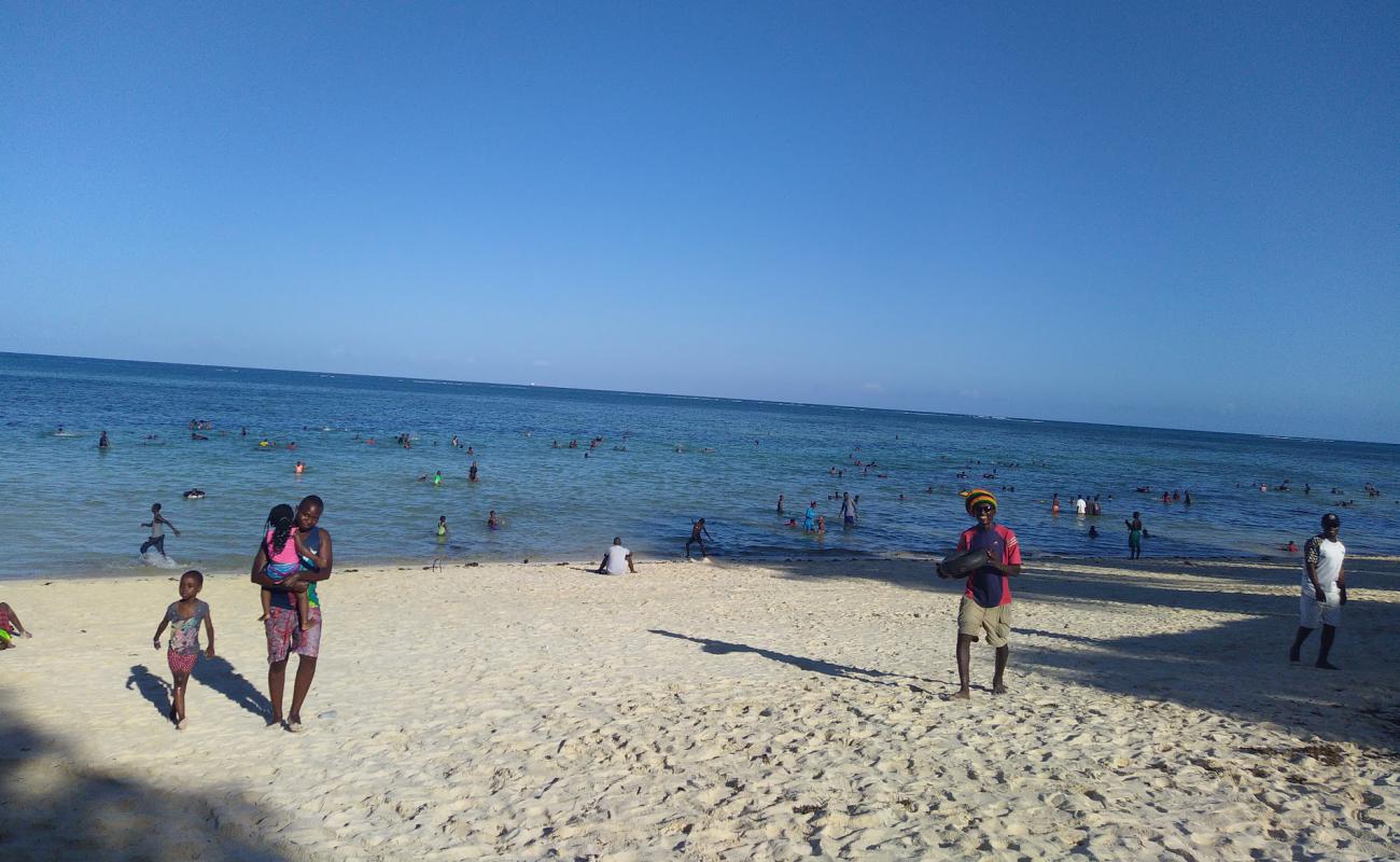 Photo de Shelly Beach avec sable fin gris de surface