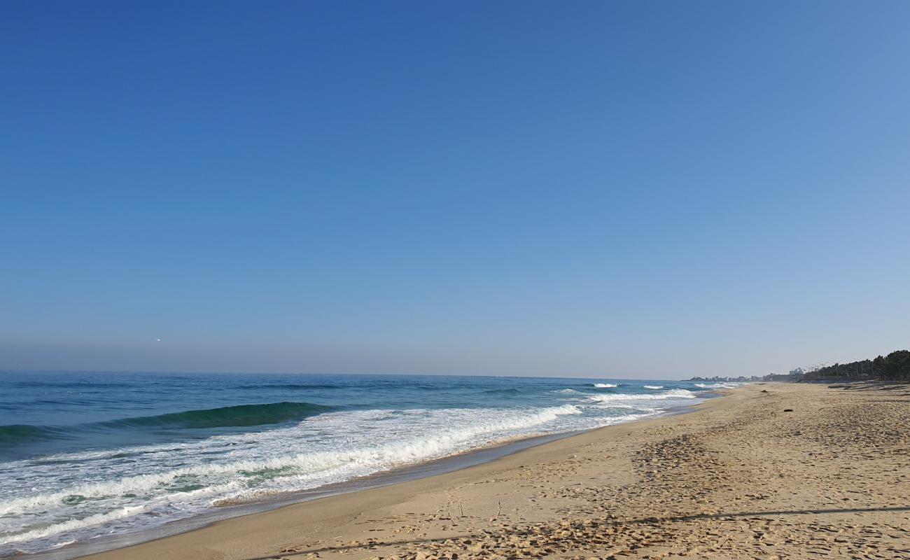 Photo de Wonpo Beach avec sable beige de surface