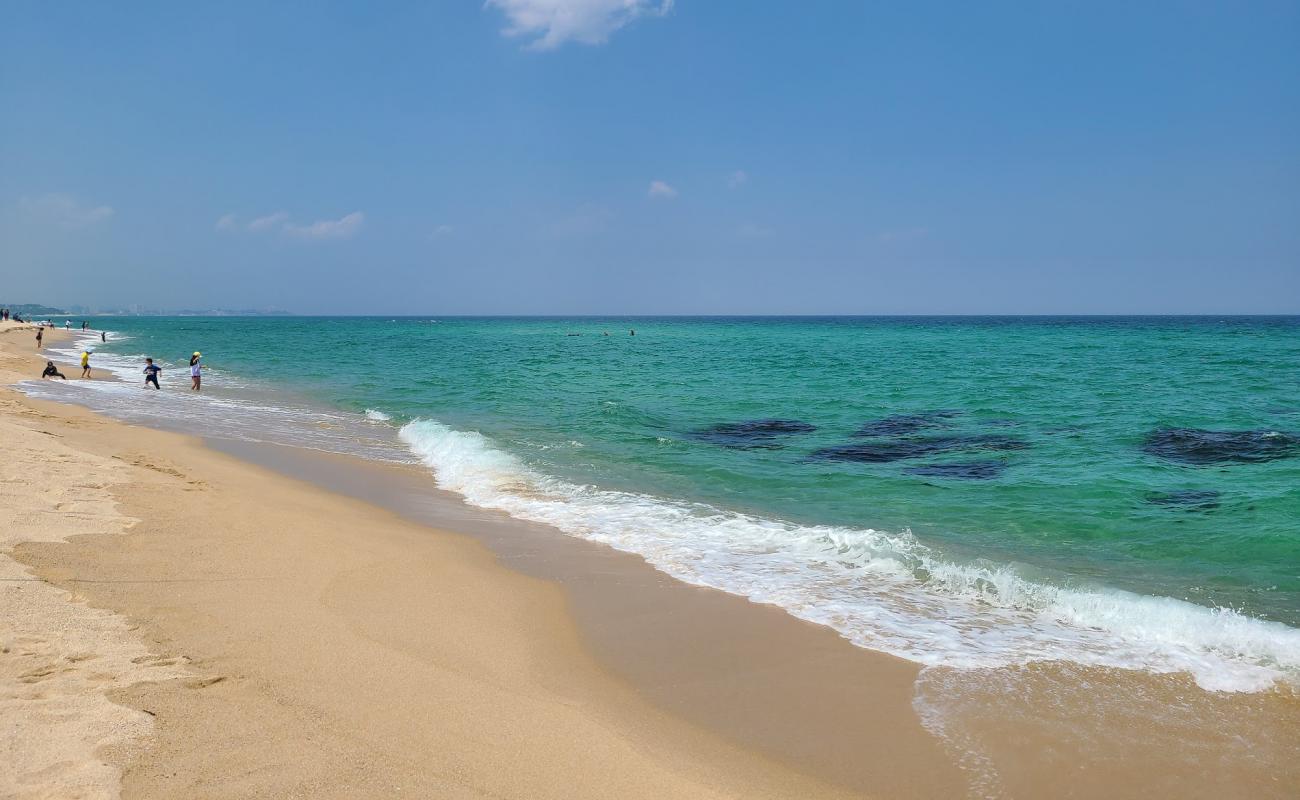 Photo de Sacheonjin Beach avec sable lumineux de surface