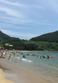 Province du Gyeongsang du Sud