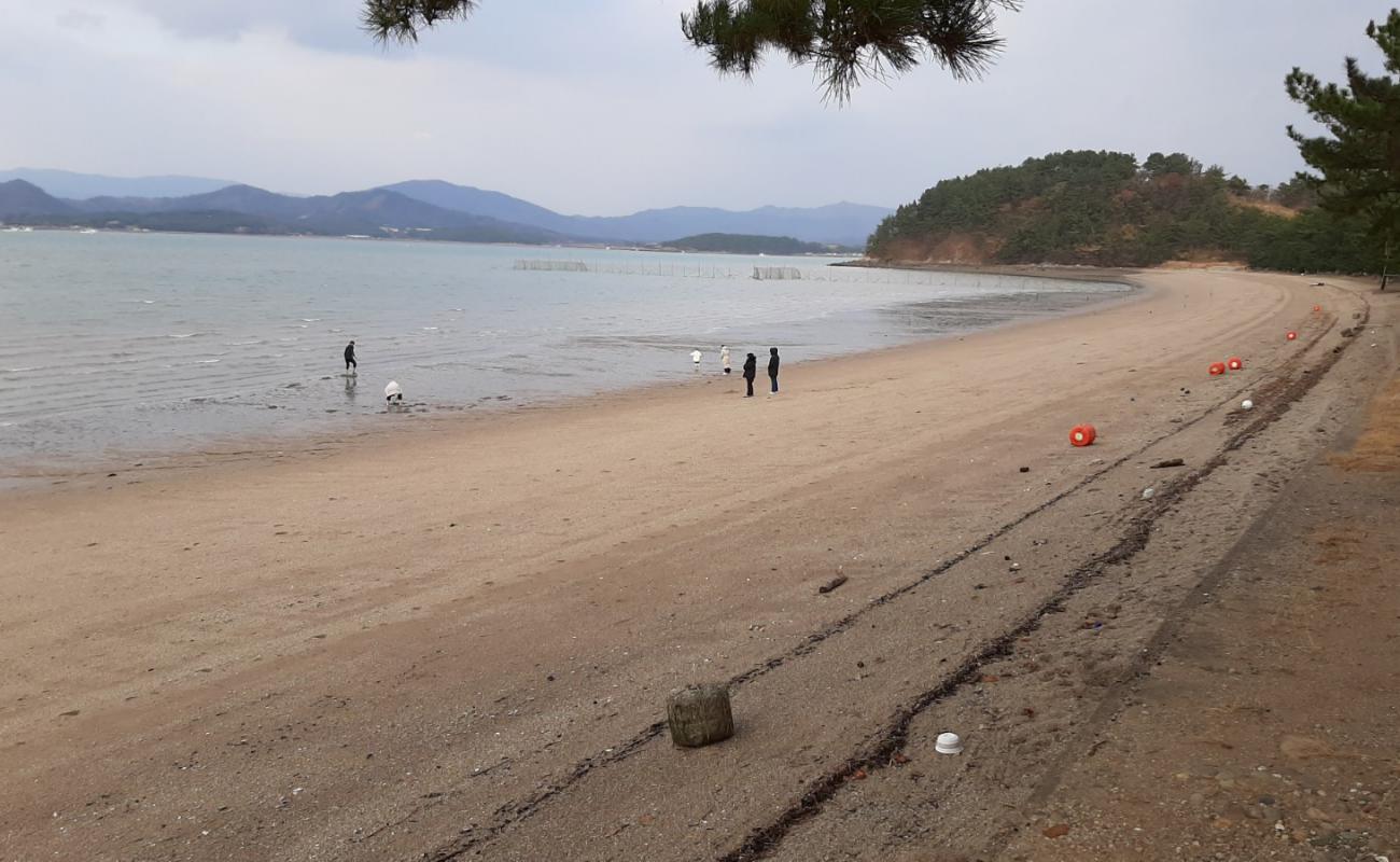 Photo de Daejeon Beach avec sable lumineux de surface