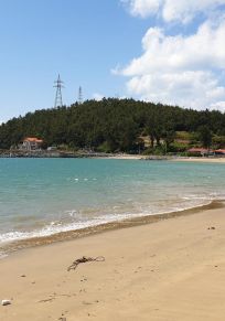 Île de Cheongsan-myeon