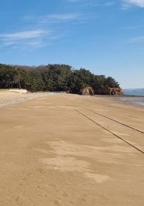 Ville Métropolitaine d'Incheon