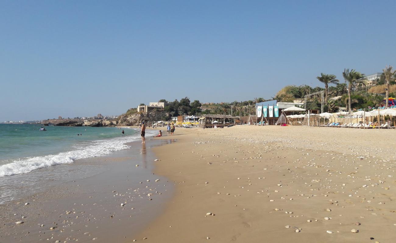 Photo de Santa Prairie avec sable beige de surface