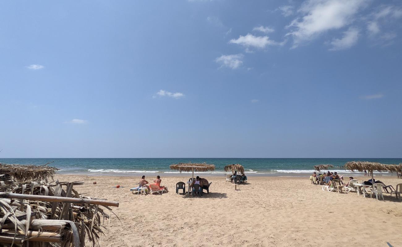 Photo de Wadi El Zayni avec sable lumineux de surface