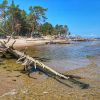 Kolkasrags beach