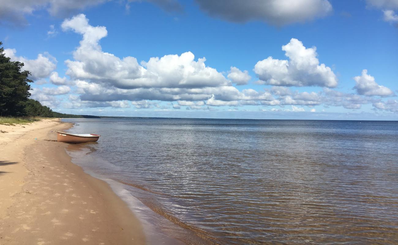 Photo de Balta kapa beach avec sable lumineux de surface